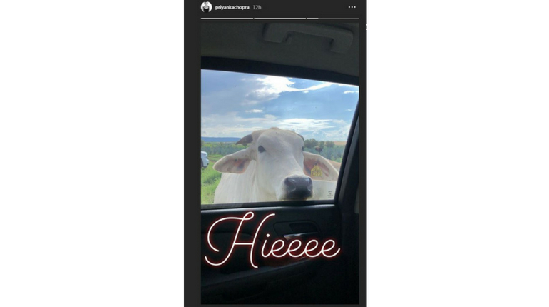 pc insta 2.jpg